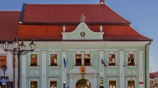 Záznam videokonferencie Mestského zastupiteľstva v Skalici 3-4.3.2021