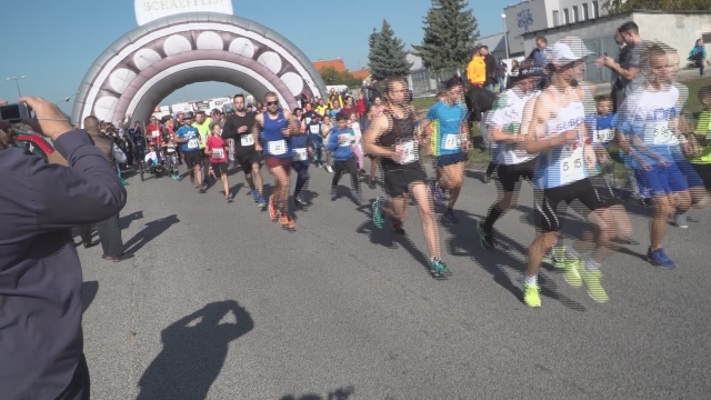 Max run 2019