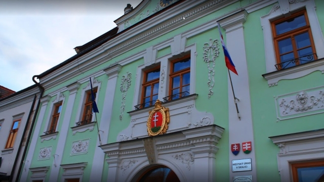 Mestské zastupiteľstvo v Skalici 8.6.2020